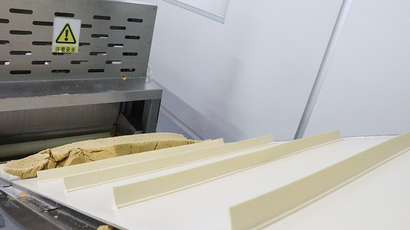 Ag亞洲集團食品-傳送設備