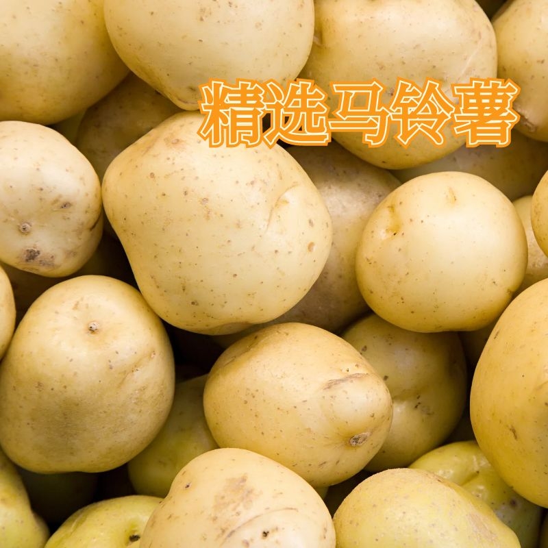 一片一片停不下來的土豆小餅干！薄、香、脆讓人流連忘返